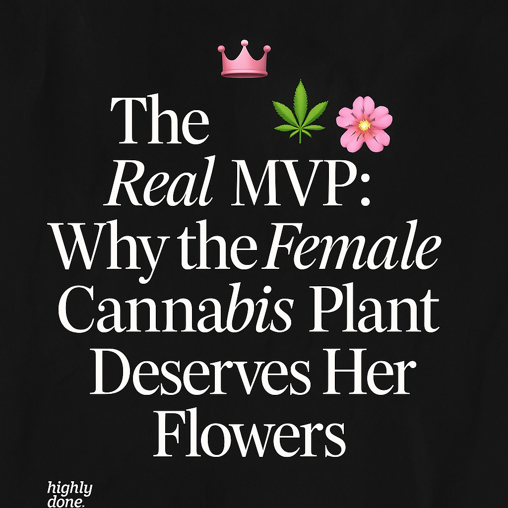 The Real MVP: Why the Female Cannabis Plant Deserves Her Flowers